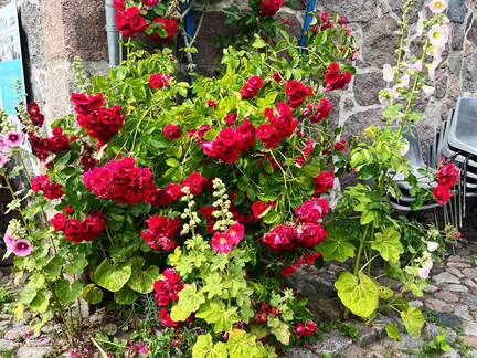 24-07-01 17-03-23 0083